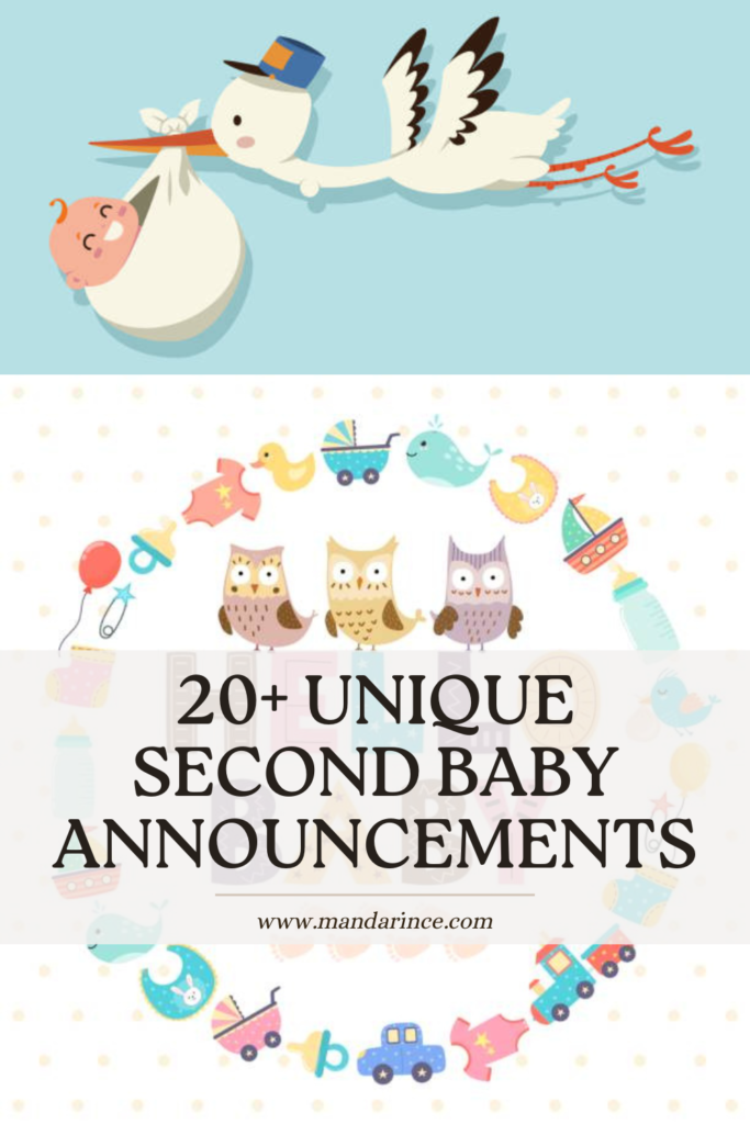 A cute illustration of a stork carrying a baby in a bundle, along with baby-themed decorations including pacifiers, owls, and toys, symbolizing creative ways to announce a second pregnancy.